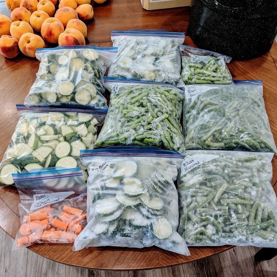 Freezing Zucchini and Green Beans