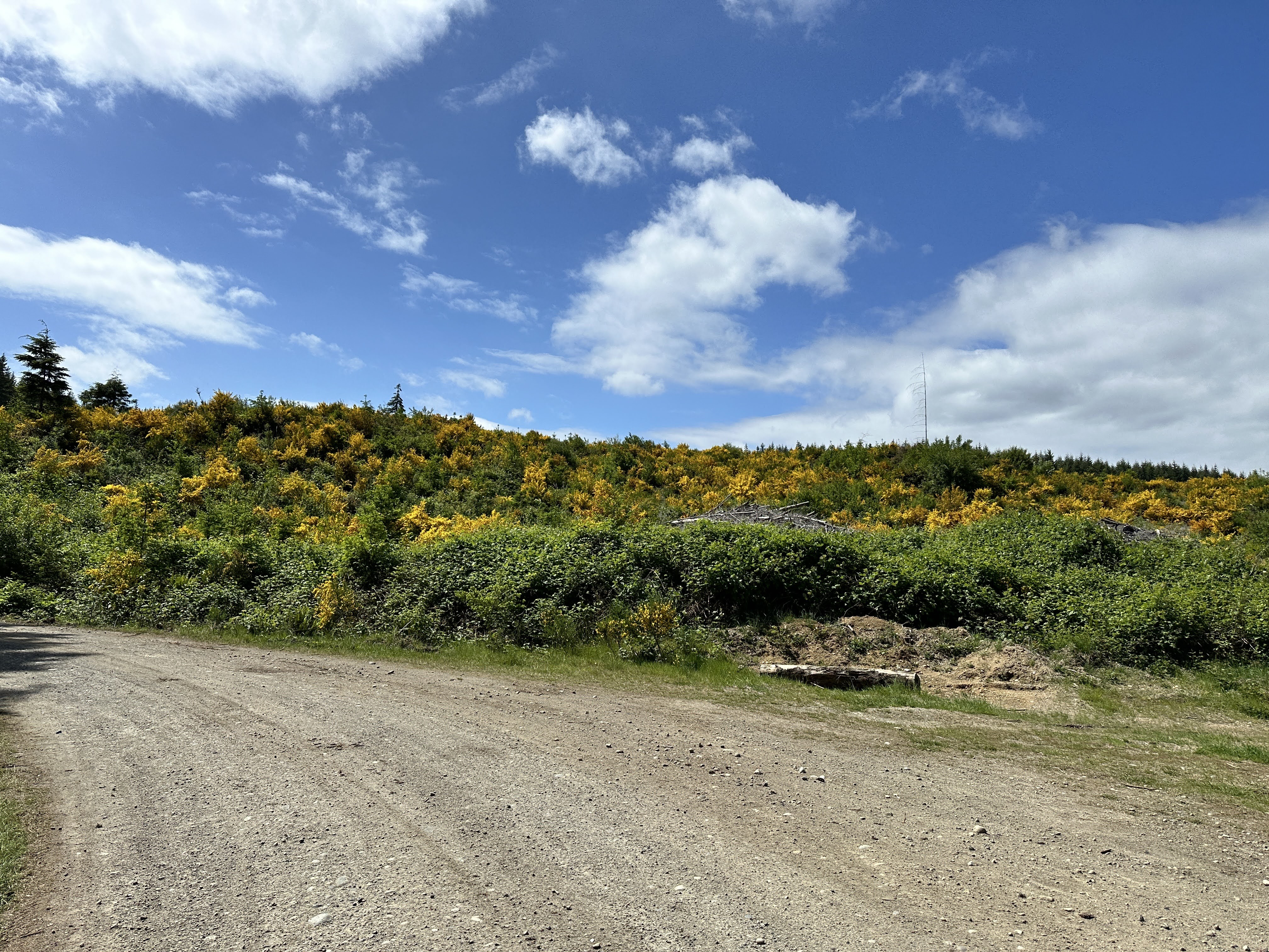 Unplugging from Social Media and Setting Daily Goals for Personal Growth