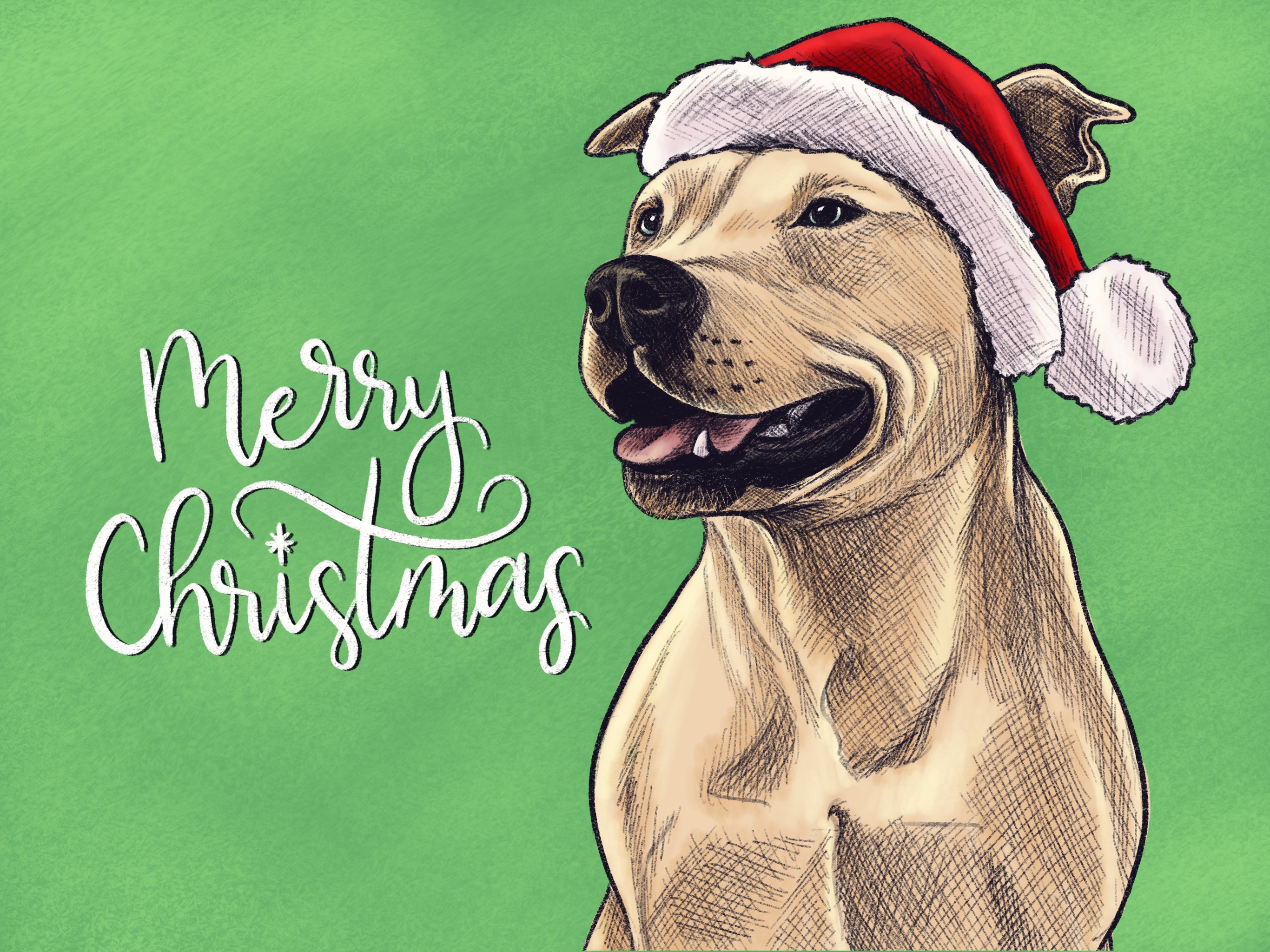 Merry Christmas! 2024